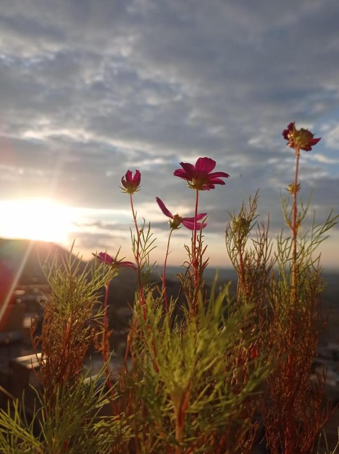 Merdin Boutique Hotel Mardin Esterno foto